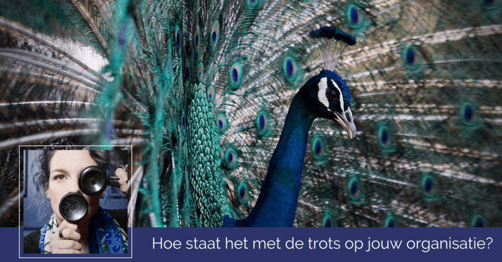 trots